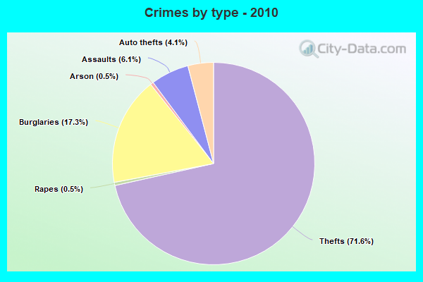 Crimes by type - 2010