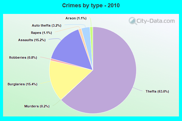 Crimes by type - 2010