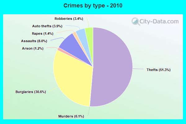 Crimes by type - 2010