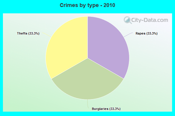 Crimes by type - 2010