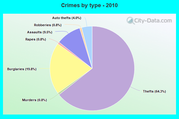 Crimes by type - 2010