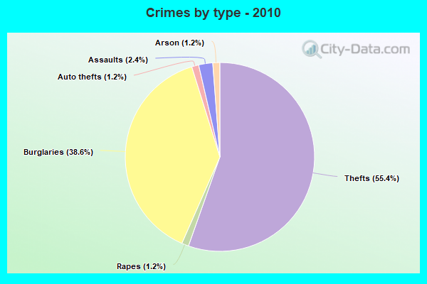 Crimes by type - 2010