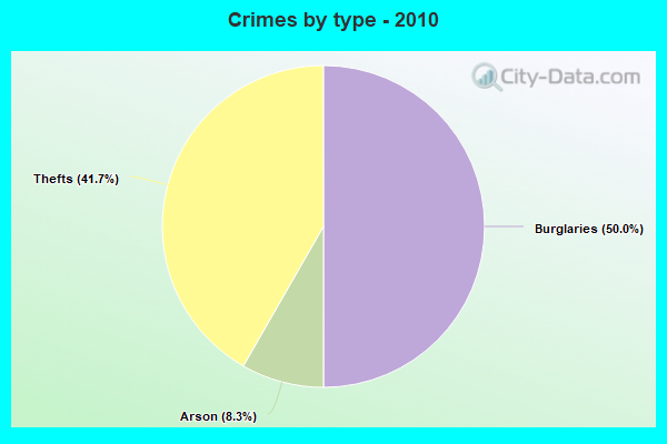 Crimes by type - 2010