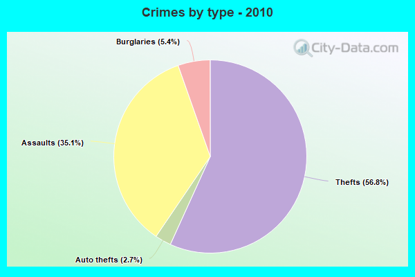 Crimes by type - 2010