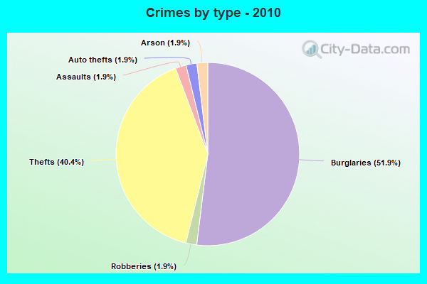 Crimes by type - 2010