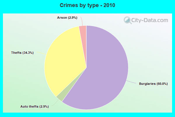 Crimes by type - 2010