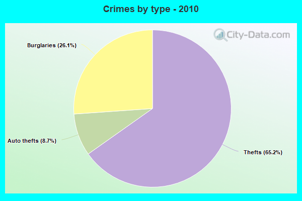 Crimes by type - 2010