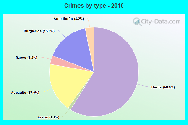 Crimes by type - 2010