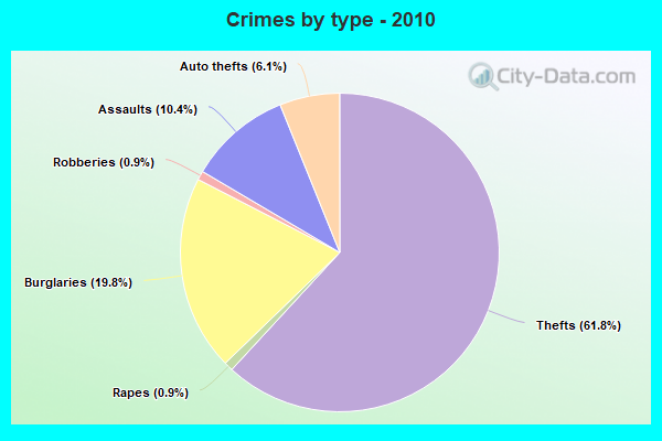 Crimes by type - 2010