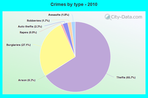 Crimes by type - 2010