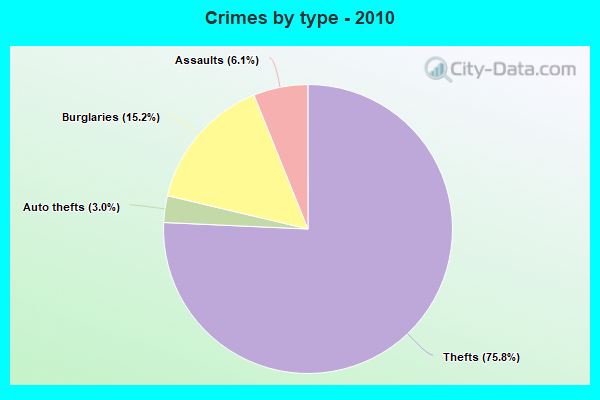 Crimes by type - 2010