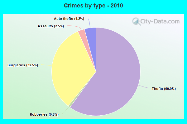 Crimes by type - 2010