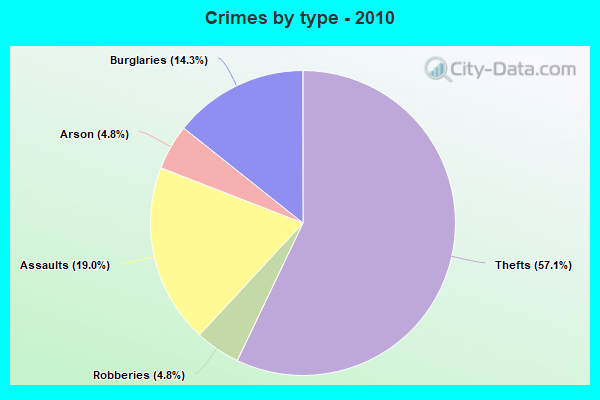 Crimes by type - 2010