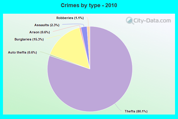 Crimes by type - 2010