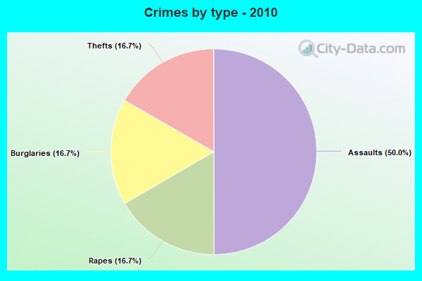 Crimes by type - 2010