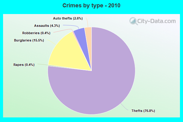 Crimes by type - 2010