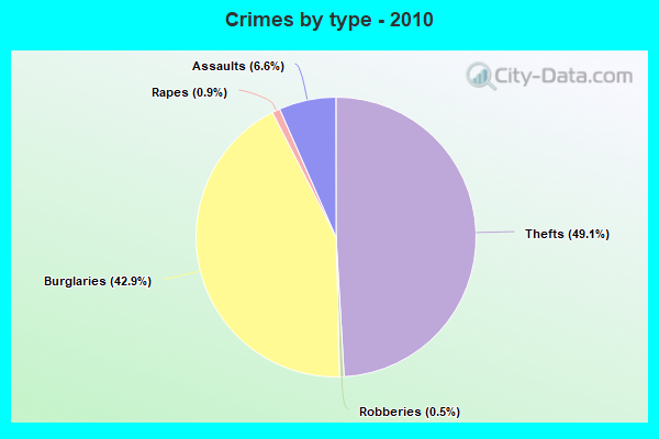 Crimes by type - 2010