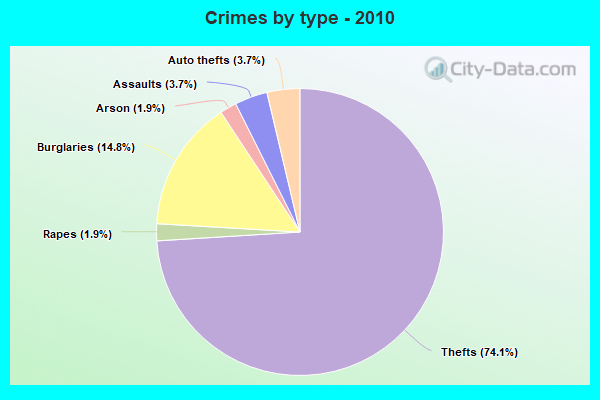 Crimes by type - 2010