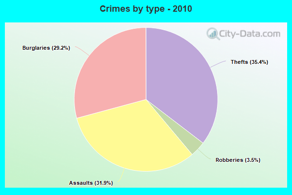 Crimes by type - 2010