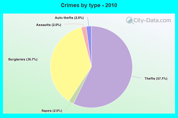 Crimes by type - 2010