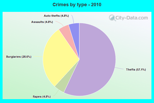 Crimes by type - 2010