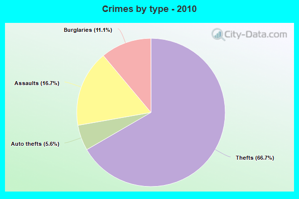 Crimes by type - 2010