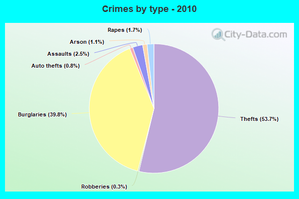 Crimes by type - 2010