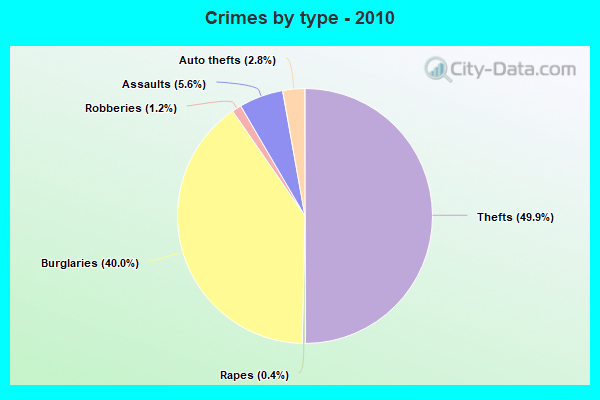 Crimes by type - 2010