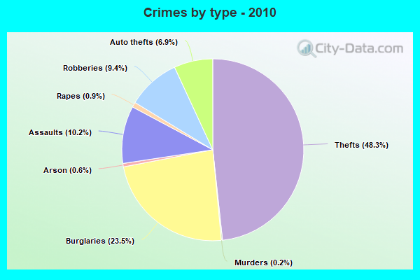 Crimes by type - 2010