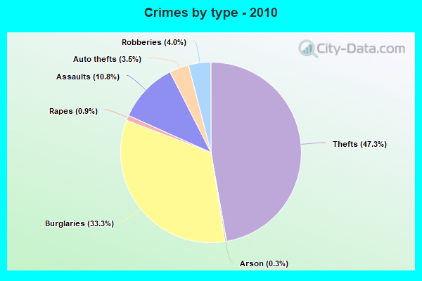 Crimes by type - 2010