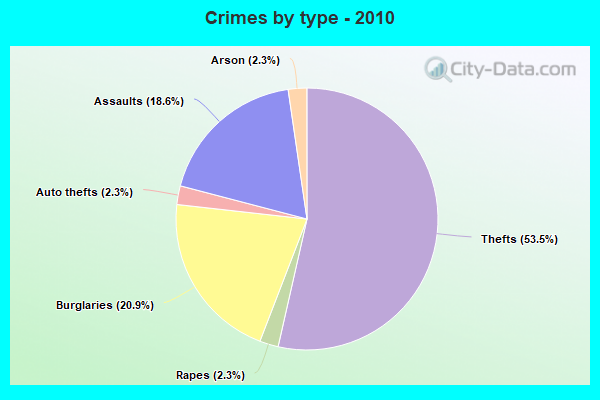 Crimes by type - 2010