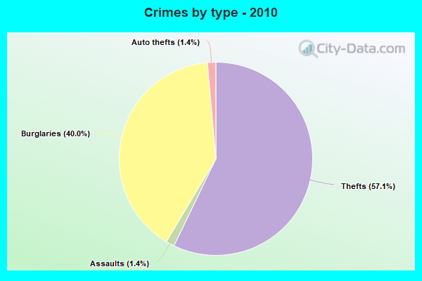 Crimes by type - 2010