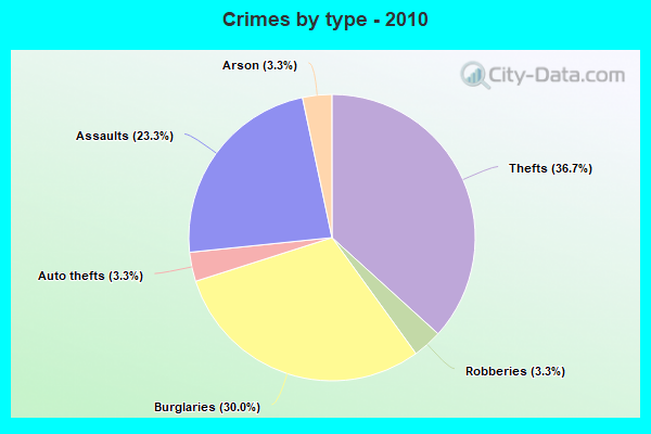 Crimes by type - 2010