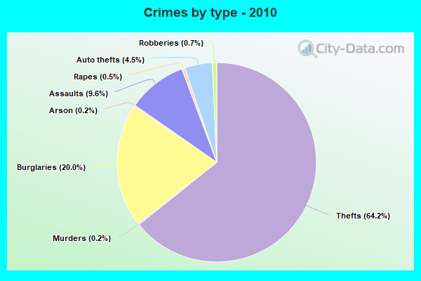 Crimes by type - 2010