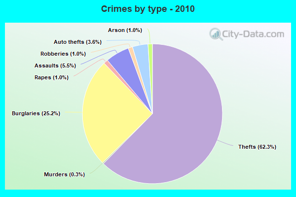 Crimes by type - 2010