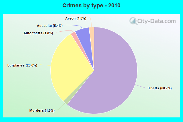 Crimes by type - 2010