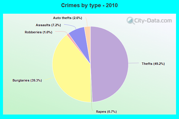 Crimes by type - 2010