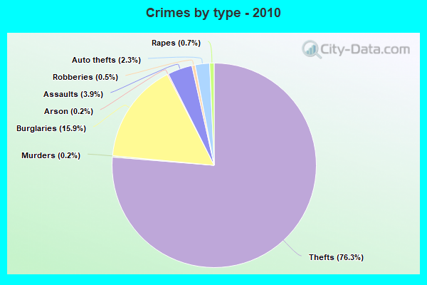 Crimes by type - 2010