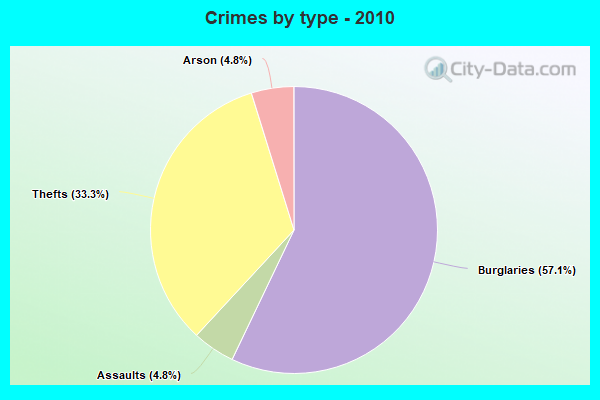 Crimes by type - 2010