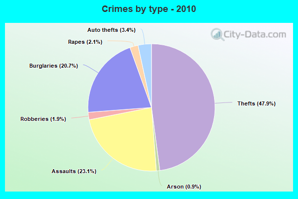 Crimes by type - 2010