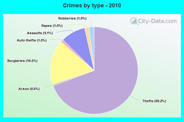 Crimes by type - 2010