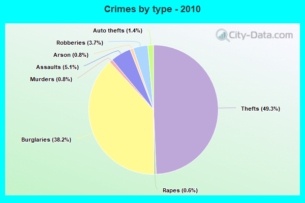 Crimes by type - 2010