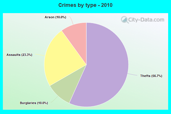 Crimes by type - 2010