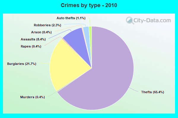 Crimes by type - 2010