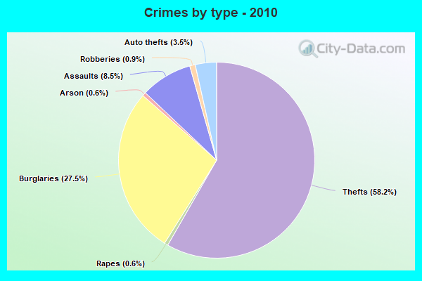 Crimes by type - 2010