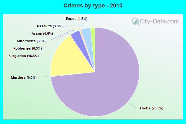 Crimes by type - 2010