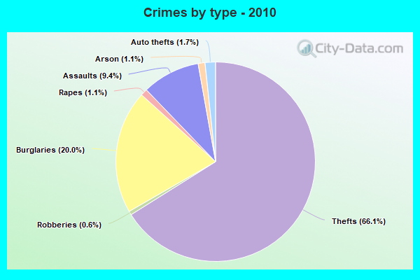 Crimes by type - 2010