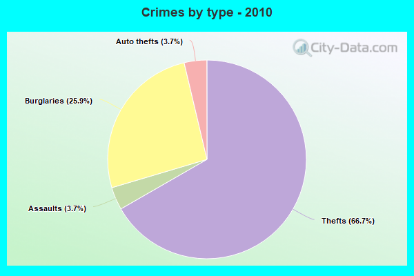 Crimes by type - 2010