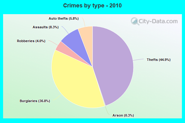 Crimes by type - 2010