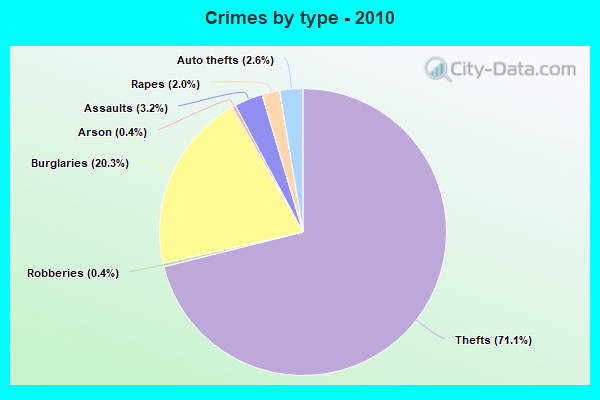 Crimes by type - 2010